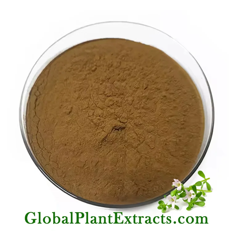 Bacopa Monnieri Extract