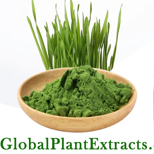 Organic Barley Grass Powder