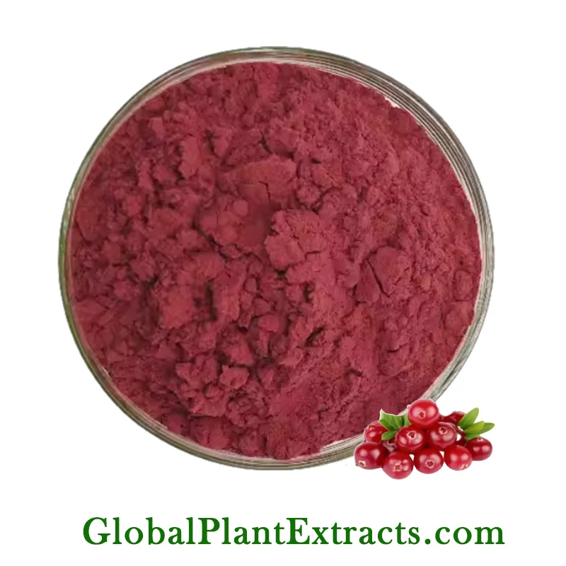 Bilberry Extract (Anthocyanins)