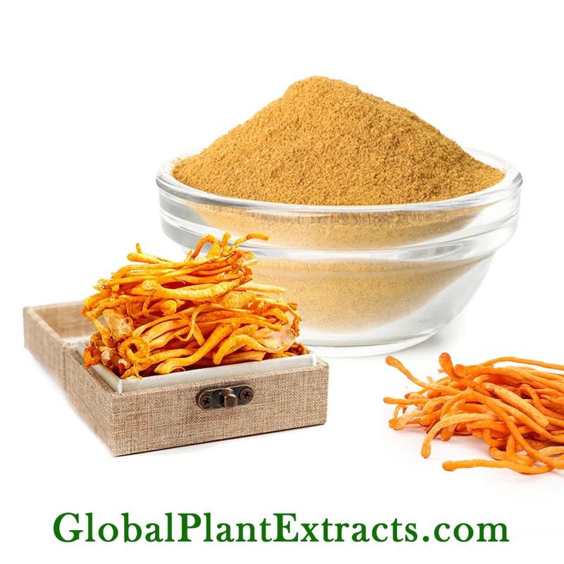 Cordyceps Mushroom Extract