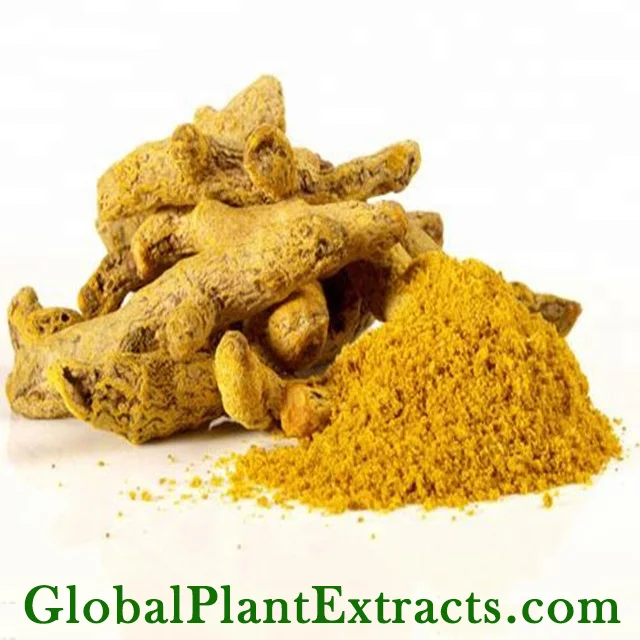 Curcumin Extract (Turmeric)