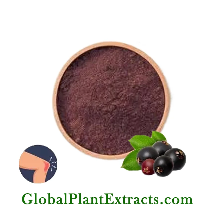 Elderberry Extract
