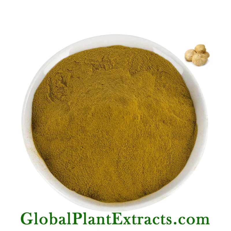 Lion's Mane Mushroom Extract