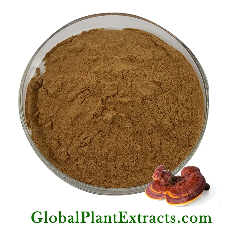 Reishi Mushroom Extract